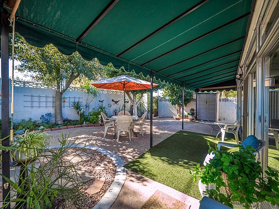 back yard
