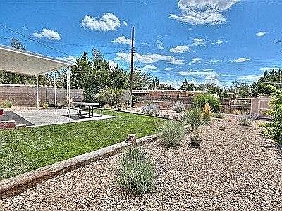 back yard during summer