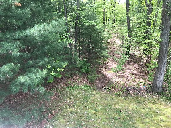 Woods in rear of yard