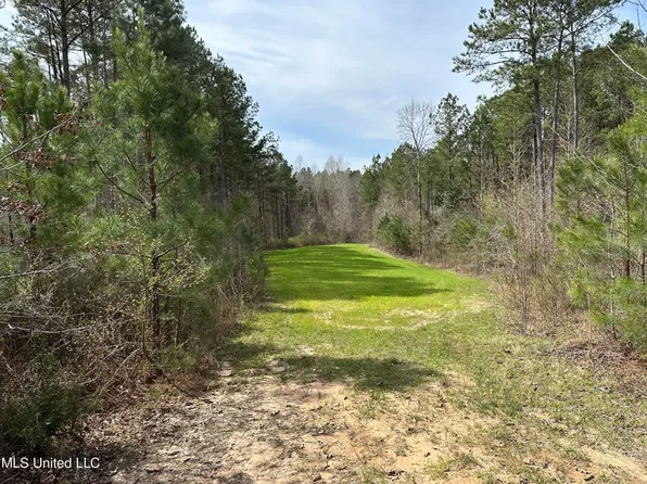 Attala Cres #3223, Ethel, MS 39067