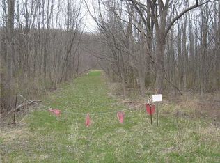 0 Baptist Hill Rd, Bloomfield, NY 14469