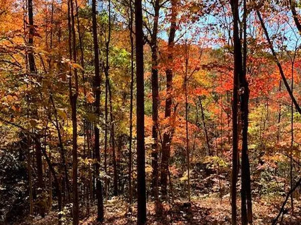 24480 Bushby Rd, South Bloomingville, OH 43152