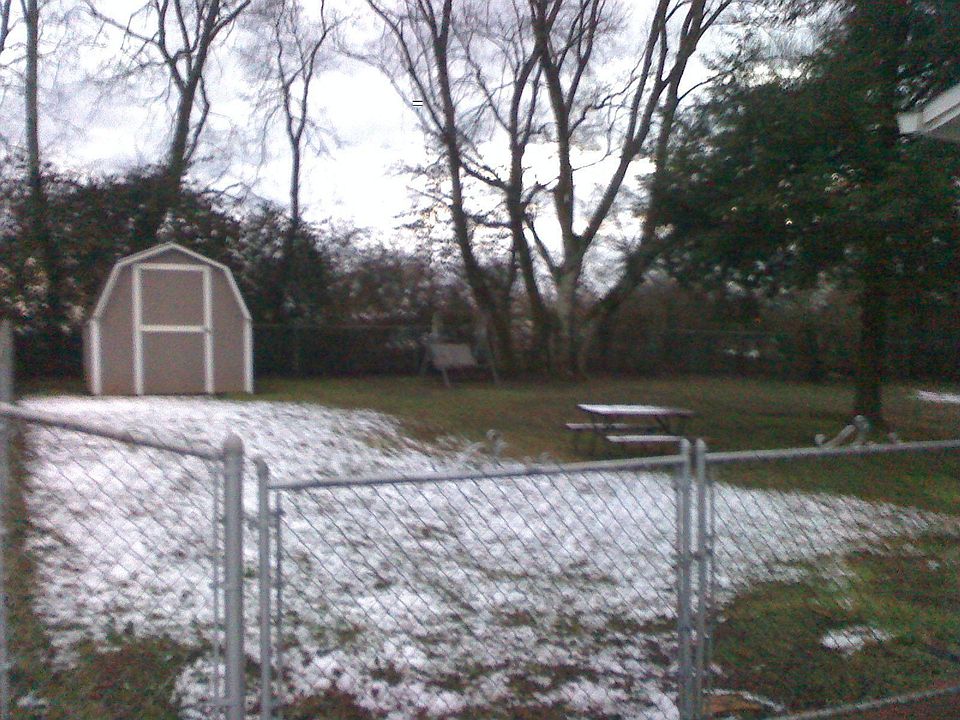 Yard and storage shed