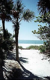 Hidden Lane dead ends into Gulf Beach