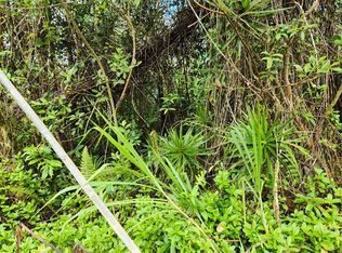 Waimea Rd LOT 440, Pahoa, HI 96778