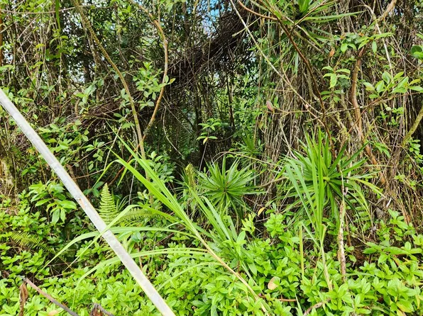 Waimea Rd Lot 440, Pahoa, HI 96778