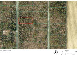SW Willow Road Ext LOT 37, Dunnellon, FL 34431