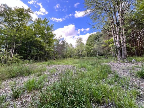 0 S Greenbush Rd #16, Erin, NY 14838
