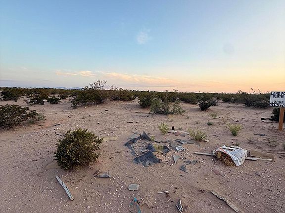 3rd image of Pn233625 Mound Pl