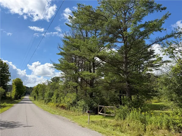 5717 Dyke Rd Lot 1, Beaver Dams, NY 14812