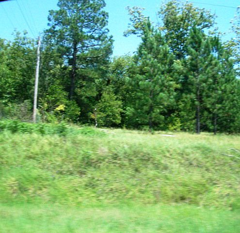 1st image of 2467 Us Highway 41 S
