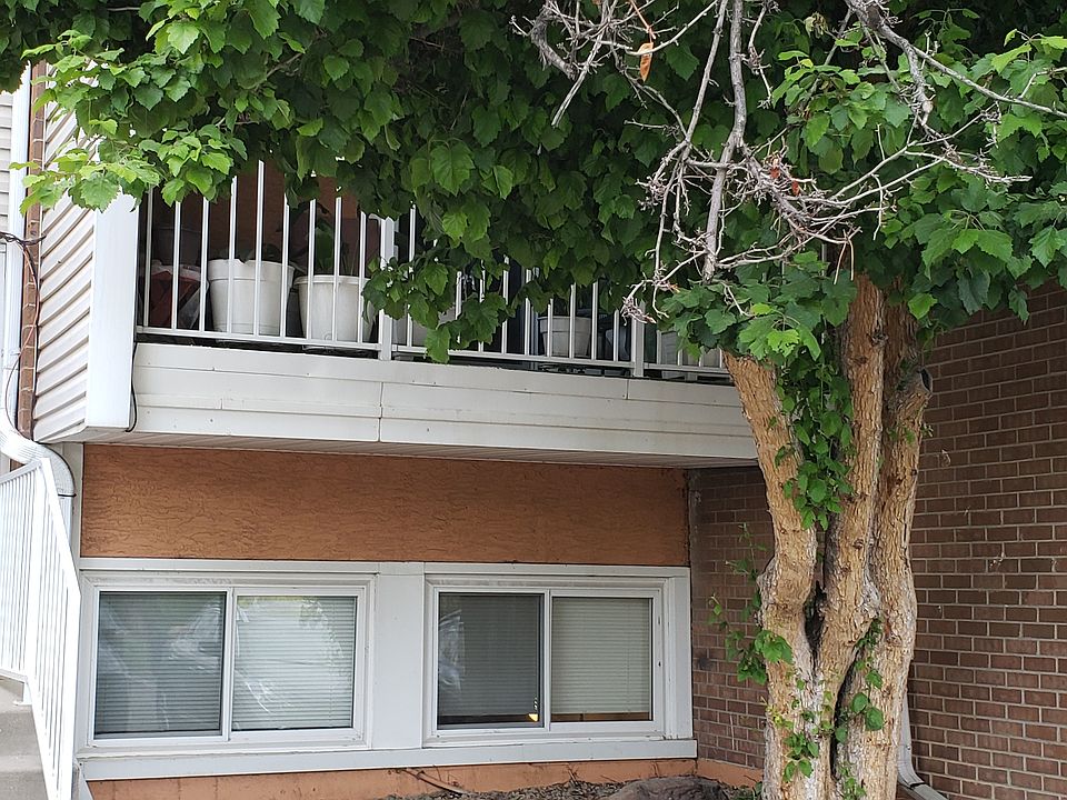 Garden level condo. Outside has recently been painted a neutral gray color.