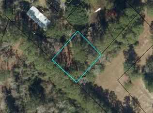 707 Nevada St, Darien, GA 31305