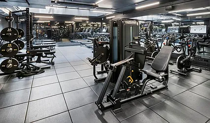 Rented by MOTION New York