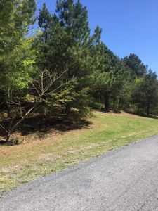 Isabella Ave, Copperhill, TN, 37317