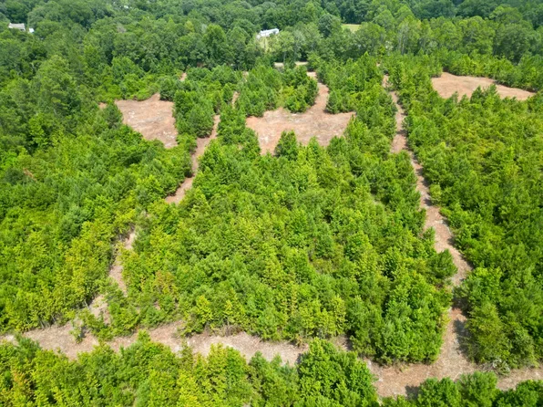 2 Count Rd #1174, Goshen, AL 36079