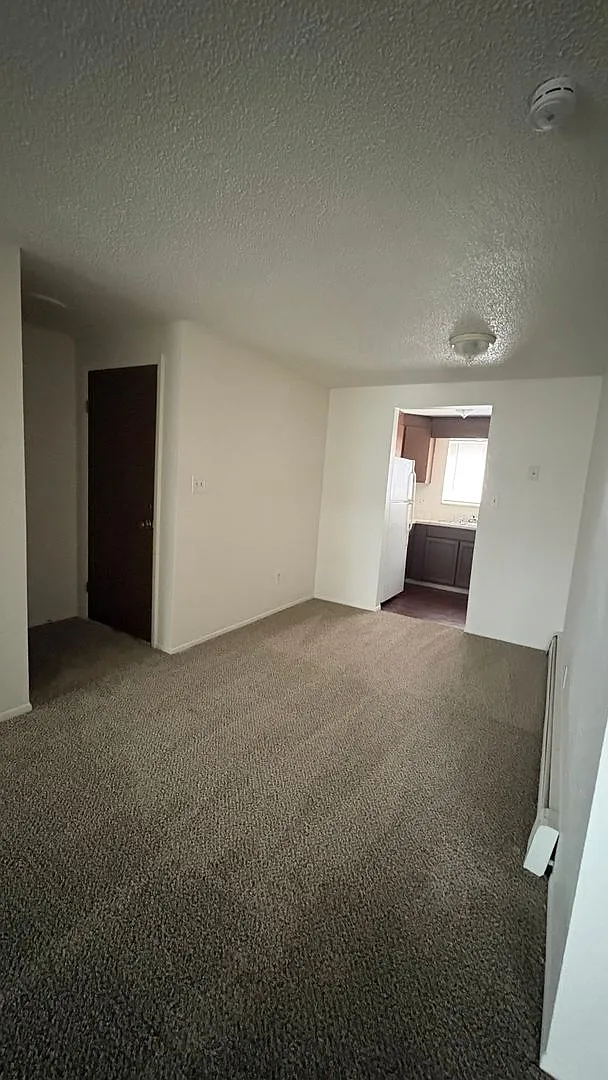 1849 Terry — Photo 3