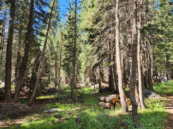Silver Tip Dr, Arnold, CA 95223