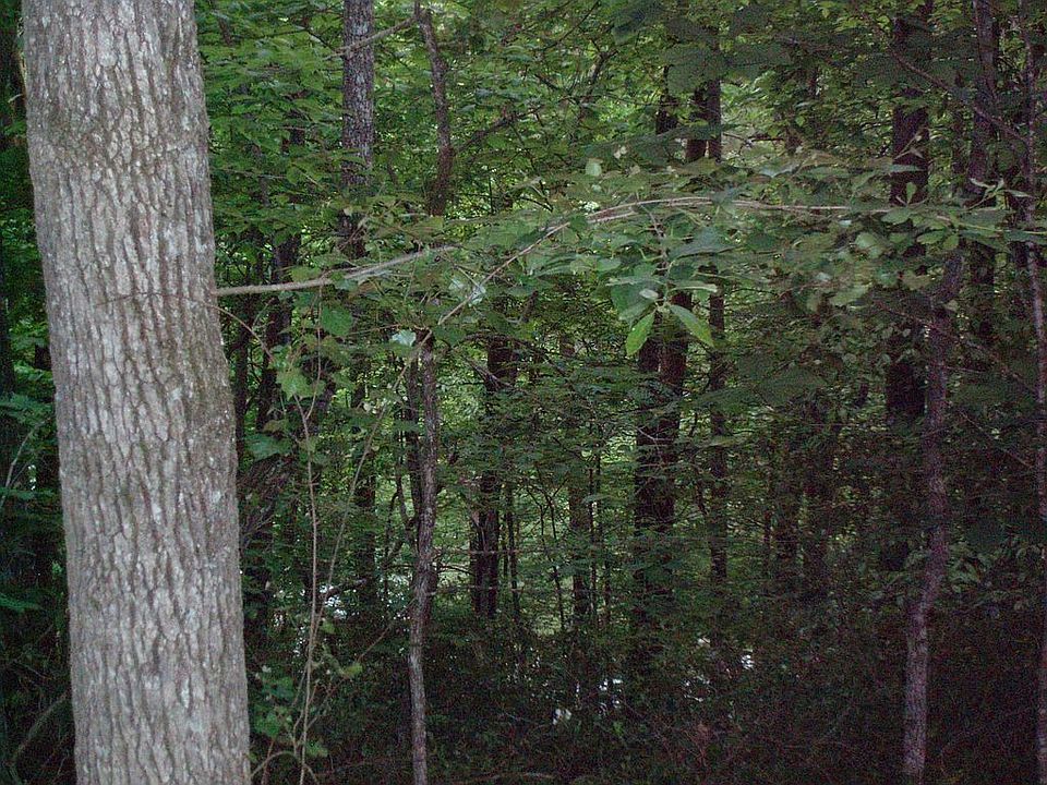 2nd image of Canoe Dr