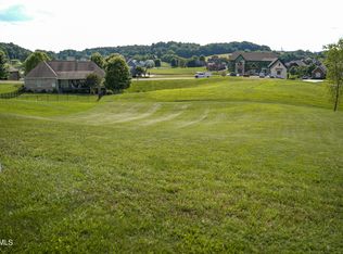 112 Cardinal Point, Blountville, TN 37617