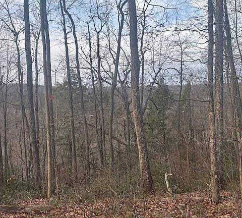 2nd image of 0 Davidson Dr Lot 22