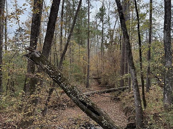5th image of County Road 4305