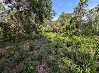9747 NE 302nd Ct LOT 24, Fort Mc Coy, FL 32134