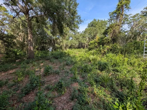 9747 NE 302nd Ct Lot 24, Fort Mc Coy, FL 32134