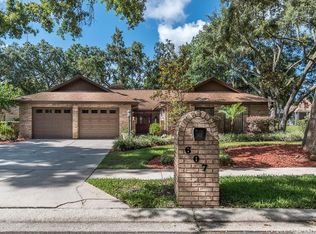 607 Hidden Lake Dr, Brandon, FL 33511