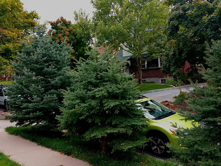 1375 E Gilmer Dr — Photo 25