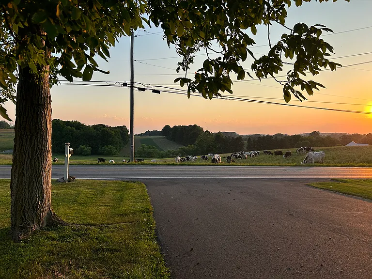 438 Walnut Run Rd — Photo 2