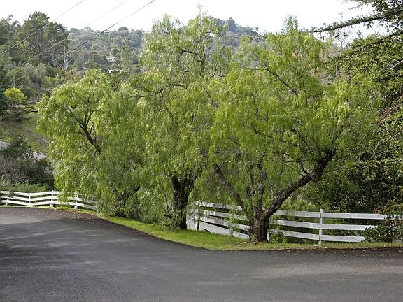 Baytree Road Country Neighborhood