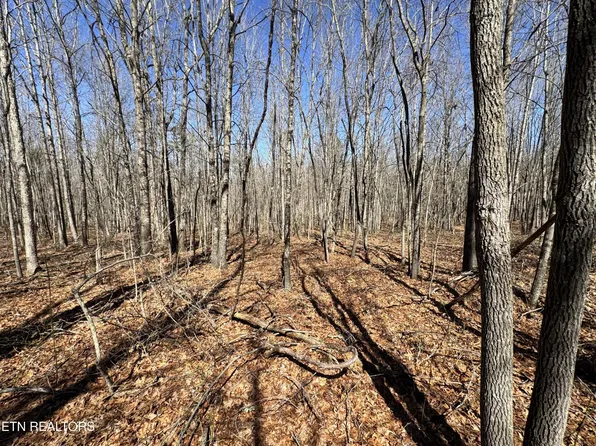 0 Veterans Lookout Lot I & J, Wilder, TN 38589