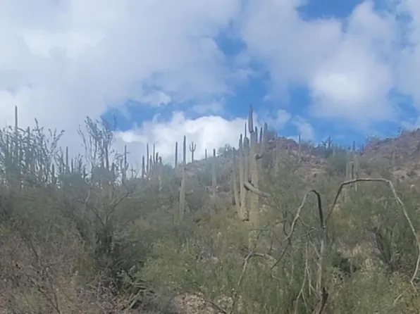 XXXXX S Cow Creek Road #61, Morristown, AZ 85342