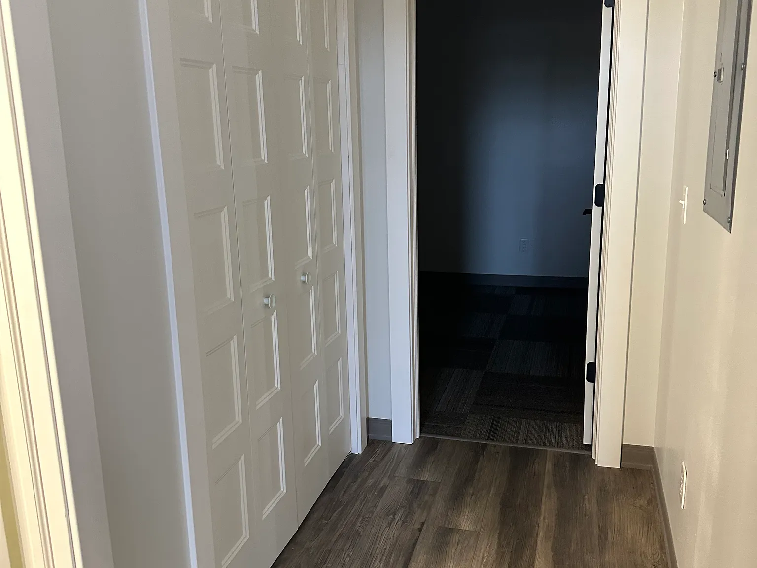 Rosedale Apartment — Photo 4