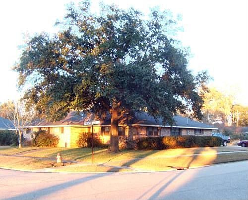 beautiful corner lot