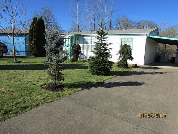 Driveway and front yard