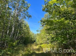 40 Acres Off, Lanse, MI 49946
