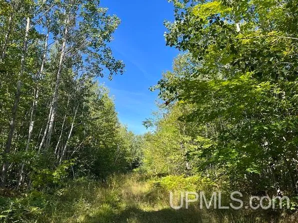40 Acres Off, Lanse, MI 49946