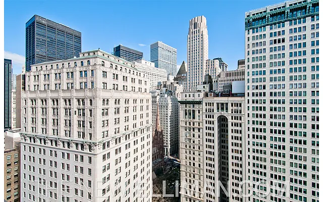 Sold by Douglas Elliman | media 6