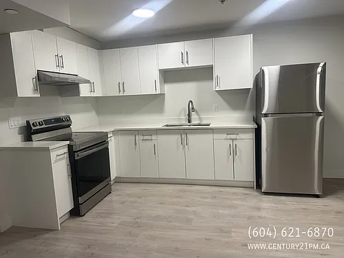 36701 Carl Creek Cres #BASEMENT Photo 1
