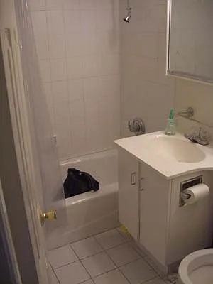 Rented by Eric Goodman Realty Corp | media 68