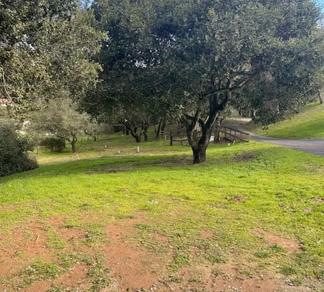 Langley Canyon Rd — Photo 2