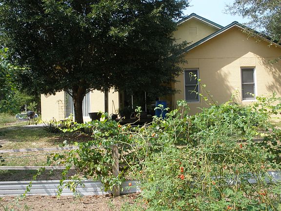 Garden area, grape trellis