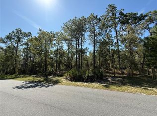 9006 Michigan Ave LOT 85, Brooksville, FL 34613