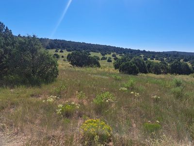 125 Upper Juan Tomas Rd, Tijeras, NM, 87059