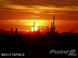 cactus_sunset