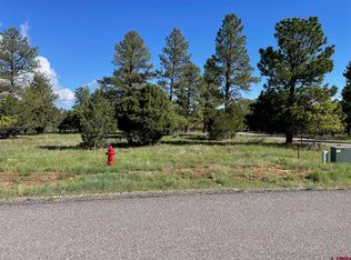 320 Bear Cub Dr, Ridgway, CO 81432