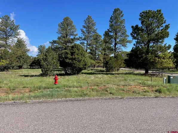 Lot 320 Bear Cub Drive, Ridgway, CO 81432