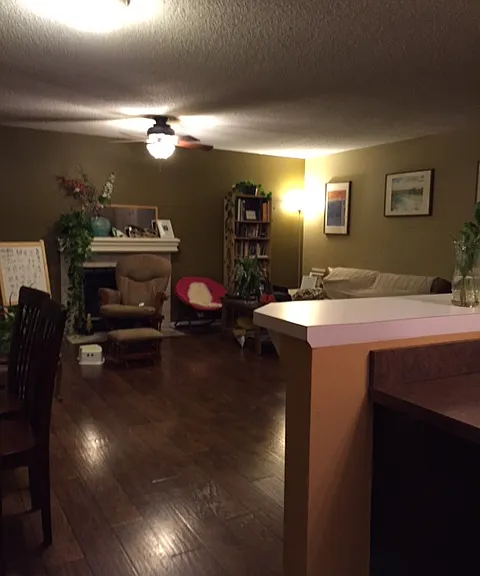 living room looking from kitchen
